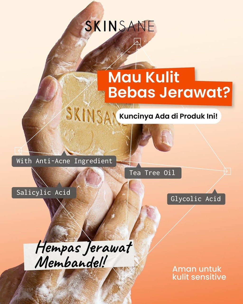 SKINSANE Bar Soap Sactea 80 gr