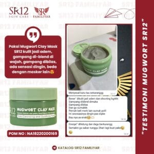 [DISCONTINUE] Mugwort Clay Mask 60 gr