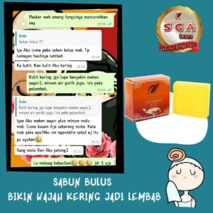 Herbal Soap Bulus 60 gr | HS Sabun Batang