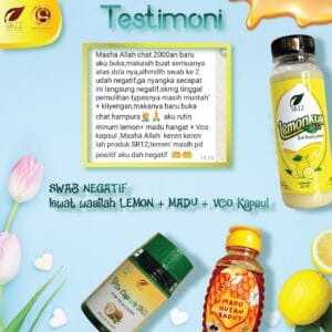 Lemonkuh 500 ml