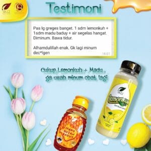 Lemonkuh 500 ml
