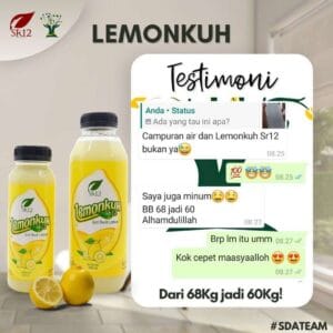 Lemonkuh 500 ml
