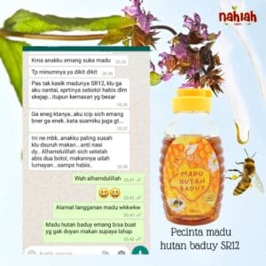 Madu Hutan Baduy 300 gr