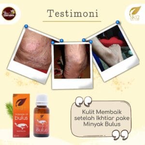 Massage Oil Bulus 20 ml | Mibul